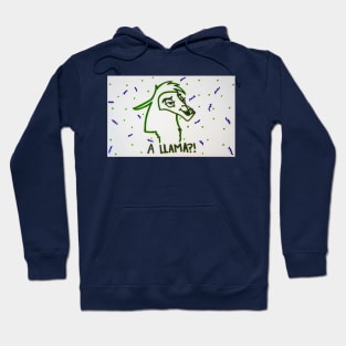 A Llama?! Hoodie